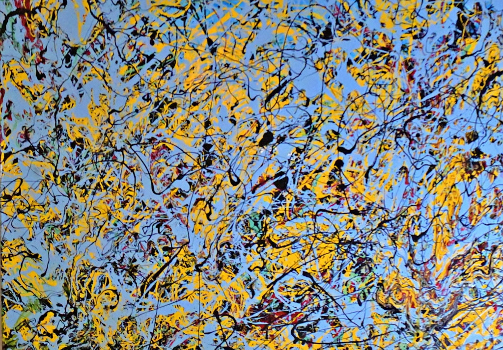 Looking Up Through The Trees To See The Sky, 2024